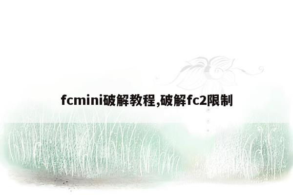 fcmini破解教程,破解fc2限制