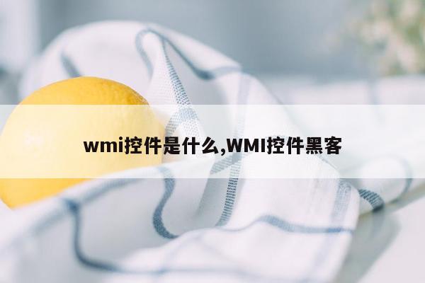 wmi控件是什么,WMI控件黑客