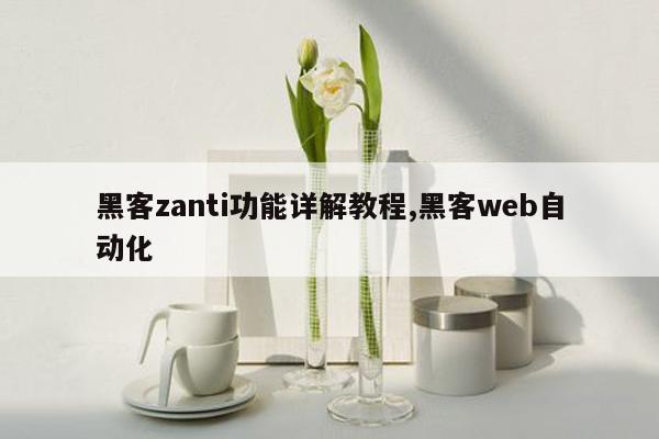 黑客zanti功能详解教程,黑客web自动化