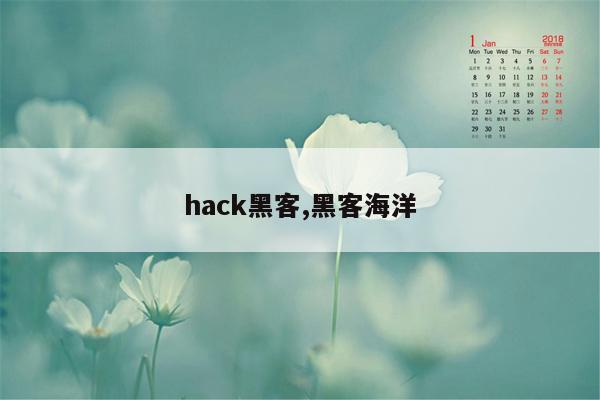 hack黑客,黑客海洋
