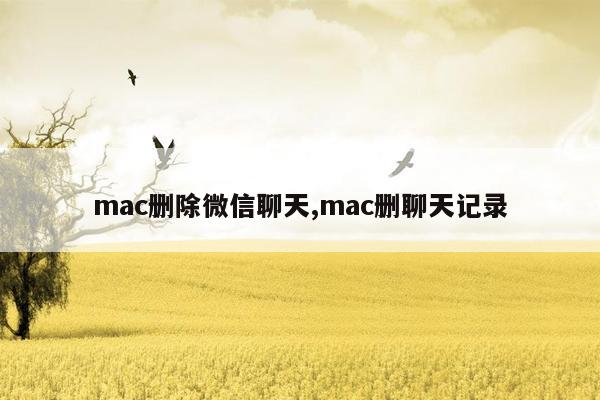 mac删除微信聊天,mac删聊天记录