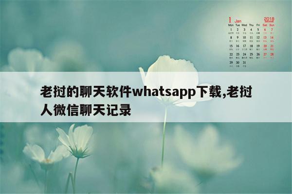 老挝的聊天软件whatsapp下载,老挝人微信聊天记录