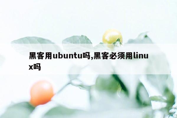 黑客用ubuntu吗,黑客必须用linux吗