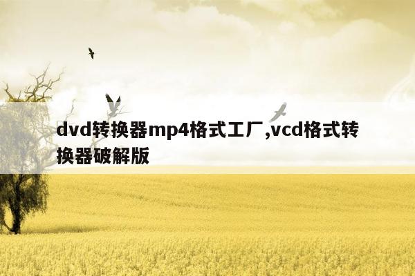 dvd转换器mp4格式工厂,vcd格式转换器破解版