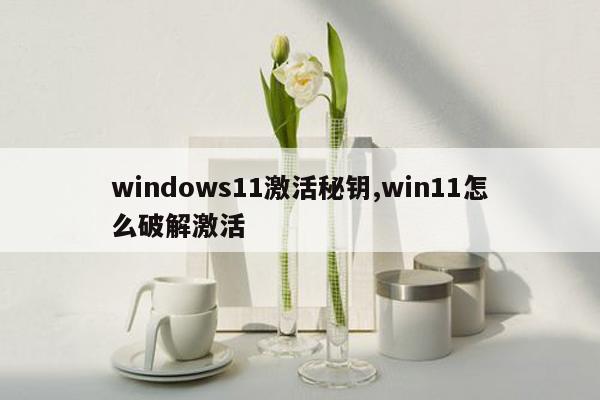 windows11激活秘钥,win11怎么破解激活