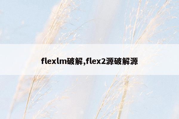 flexlm破解,flex2源破解源