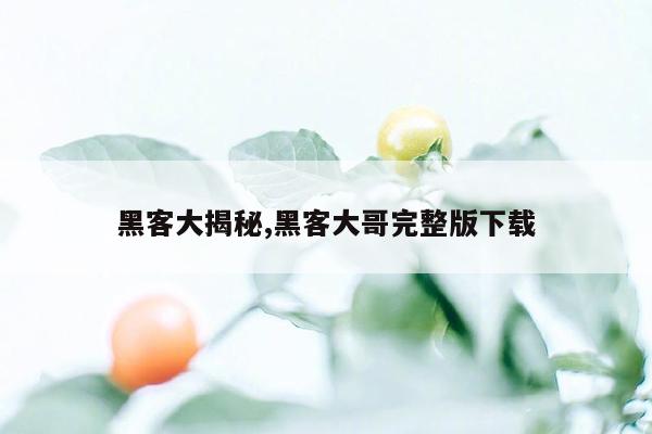 黑客大揭秘,黑客大哥完整版下载