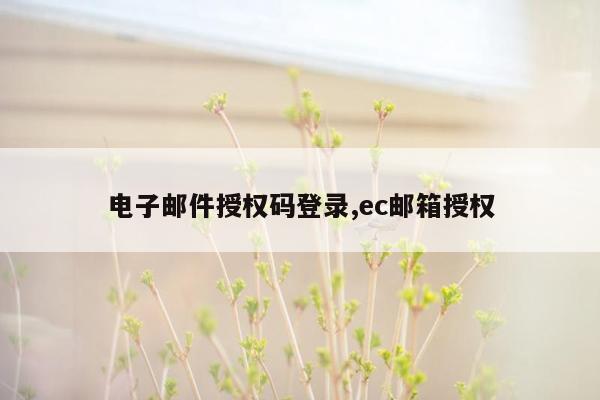 电子邮件授权码登录,ec邮箱授权