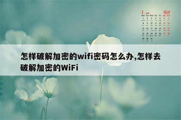 怎样破解加密的wifi密码怎么办,怎样去破解加密的WiFi