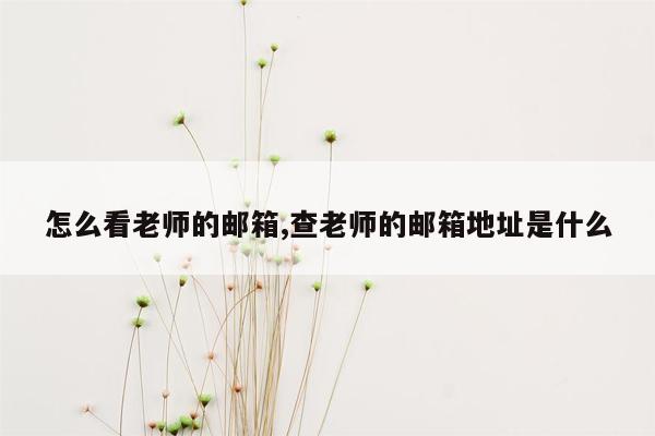 怎么看老师的邮箱,查老师的邮箱地址是什么