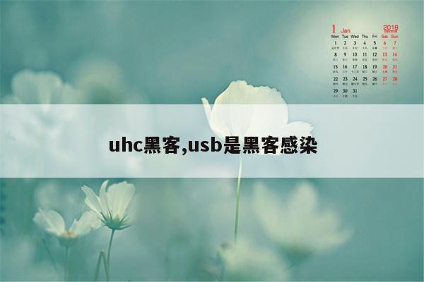 uhc黑客,usb是黑客感染