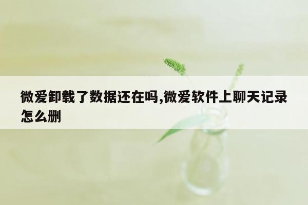 微爱卸载了数据还在吗,微爱软件上聊天记录怎么删