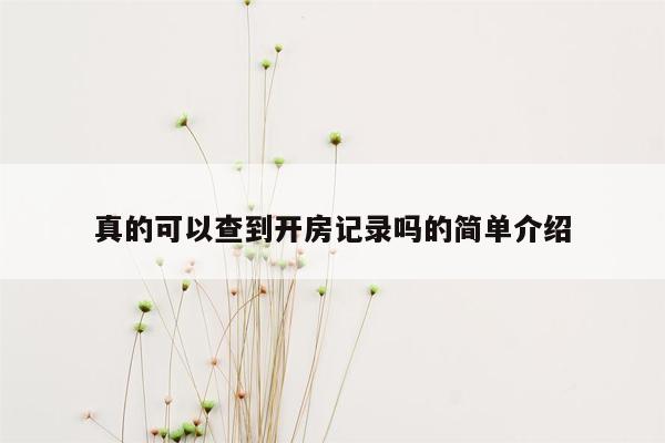 真的可以查到开房记录吗的简单介绍