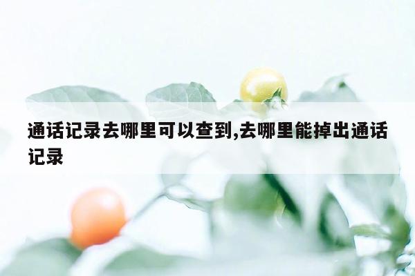 通话记录去哪里可以查到,去哪里能掉出通话记录