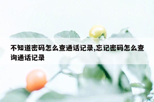 不知道密码怎么查通话记录,忘记密码怎么查询通话记录