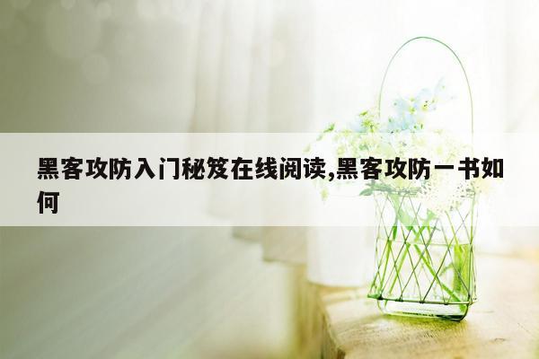 黑客攻防入门秘笈在线阅读,黑客攻防一书如何