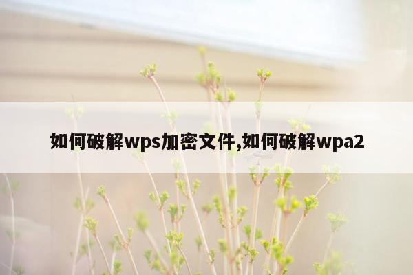 如何破解wps加密文件,如何破解wpa2