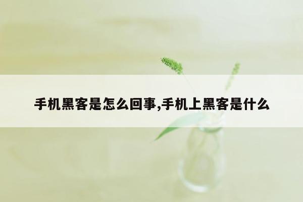 手机黑客是怎么回事,手机上黑客是什么