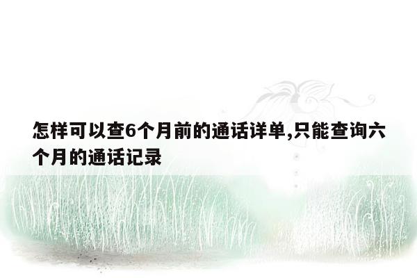 怎样可以查6个月前的通话详单,只能查询六个月的通话记录