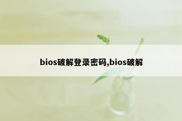 bios破解登录密码,bios破解