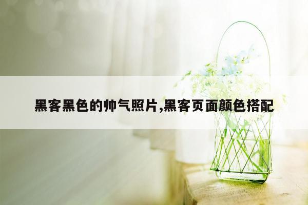 黑客黑色的帅气照片,黑客页面颜色搭配