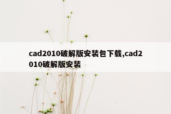 cad2010破解版安装包下载,cad2010破解版安装