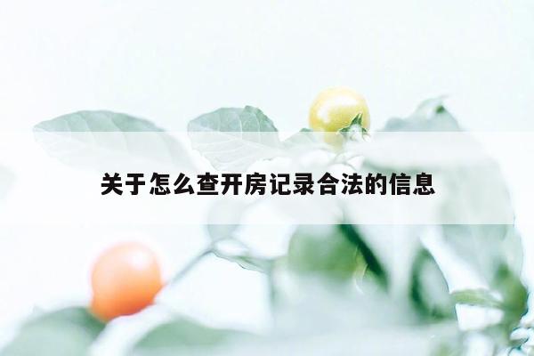 关于怎么查开房记录合法的信息