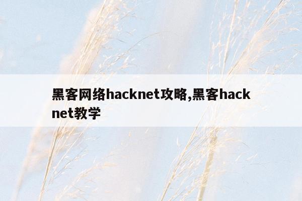 黑客网络hacknet攻略,黑客hacknet教学