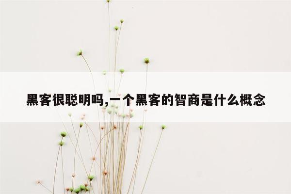 黑客很聪明吗,一个黑客的智商是什么概念