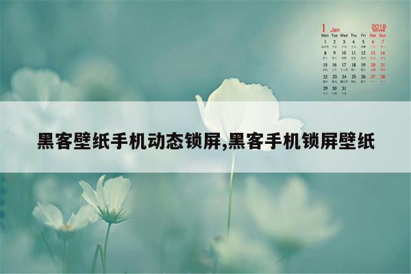 黑客壁纸手机动态锁屏,黑客手机锁屏壁纸