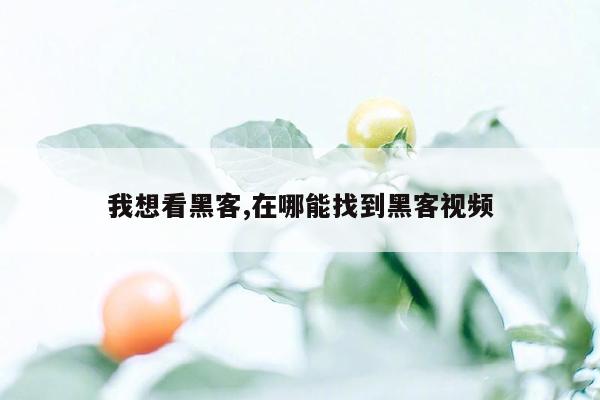 我想看黑客,在哪能找到黑客视频