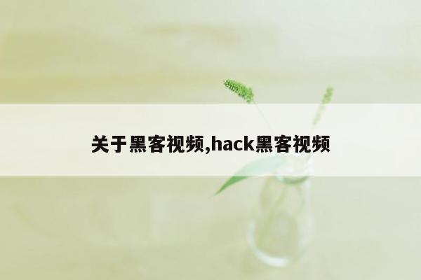 关于黑客视频,hack黑客视频