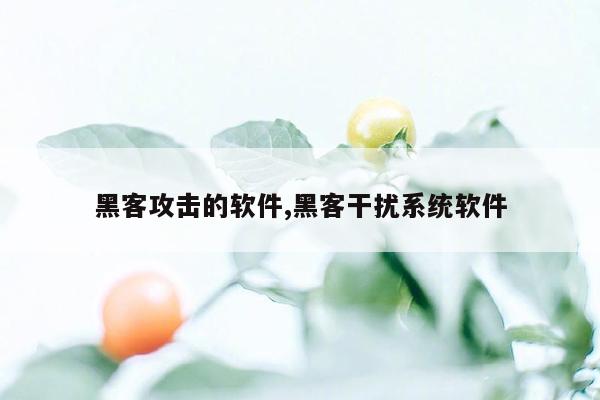 黑客攻击的软件,黑客干扰系统软件