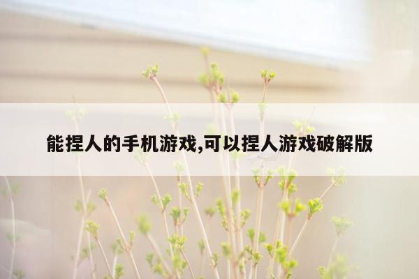 能捏人的手机游戏,可以捏人游戏破解版