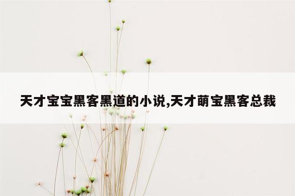 天才宝宝黑客黑道的小说,天才萌宝黑客总裁