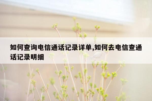 如何查询电信通话记录详单,如何去电信查通话记录明细