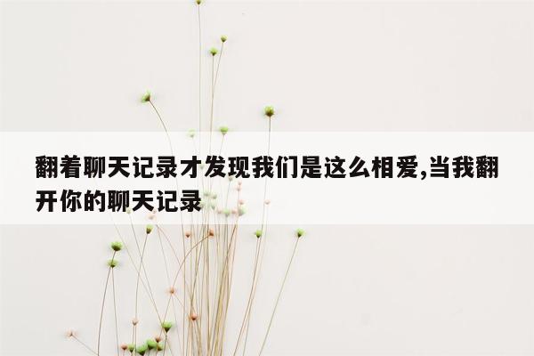 翻着聊天记录才发现我们是这么相爱,当我翻开你的聊天记录