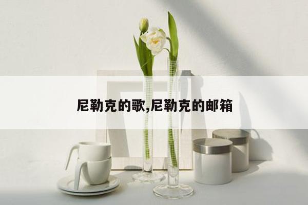 尼勒克的歌,尼勒克的邮箱