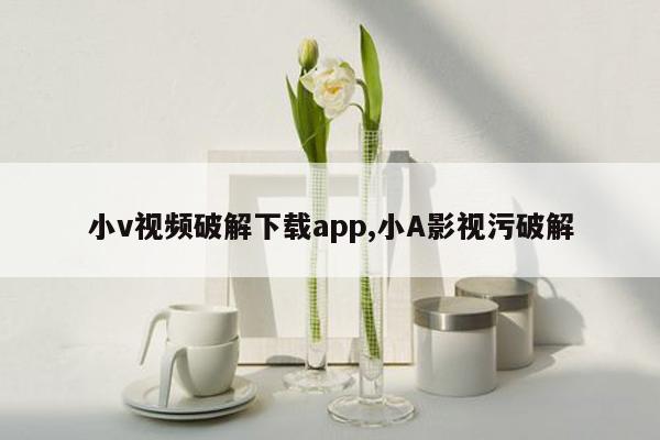 小v视频破解下载app,小A影视污破解