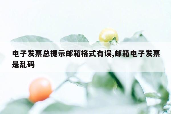 电子发票总提示邮箱格式有误,邮箱电子发票是乱码