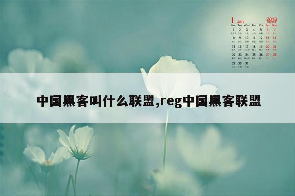 中国黑客叫什么联盟,reg中国黑客联盟