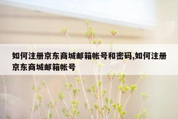 如何注册京东商城邮箱帐号和密码,如何注册京东商城邮箱帐号