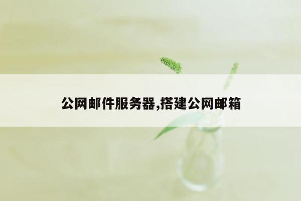 公网邮件服务器,搭建公网邮箱