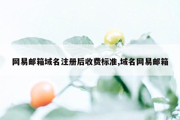 网易邮箱域名注册后收费标准,域名网易邮箱